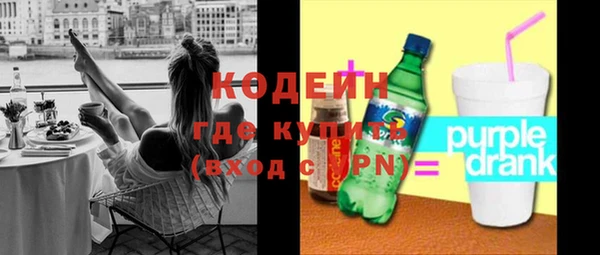 мдпв Елизово