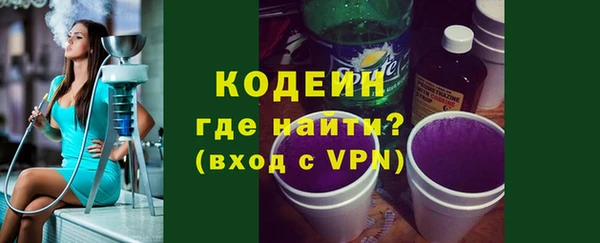 мдпв Елизово