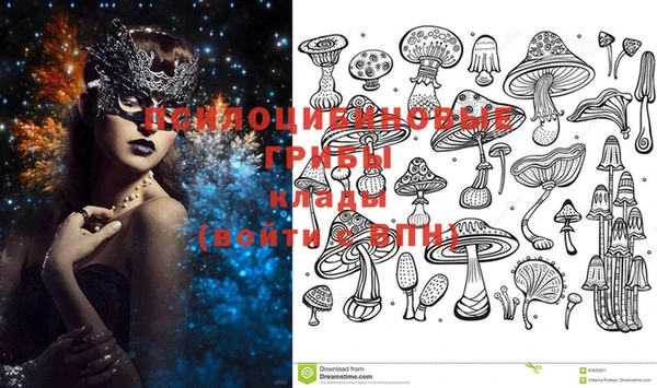 кокаин премиум Ельня