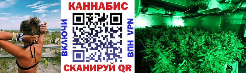 Купить где  Изобильный  Марихуана Amnesia 